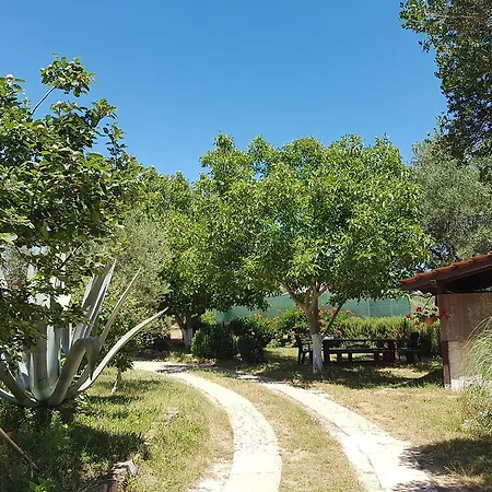 With A Parking Space 3* Ližnjan